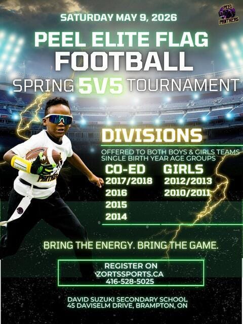 Spring 5v5 Tournament poster